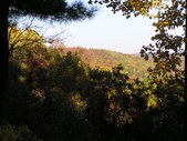 Enlarge photo 39