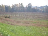 Enlarge photo 44