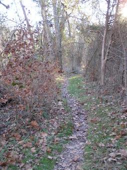 Enlarge photo 2