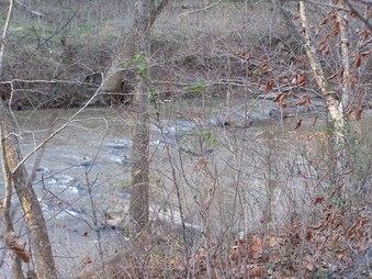 Enlarge photo 23