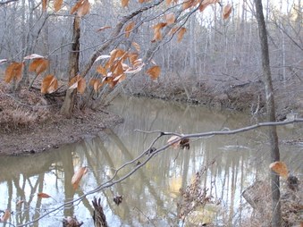 Enlarge photo 30