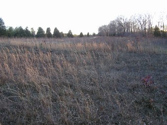 Enlarge photo 35