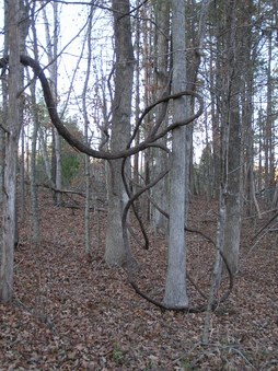 Enlarge photo 43