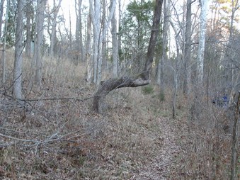 Enlarge photo 46