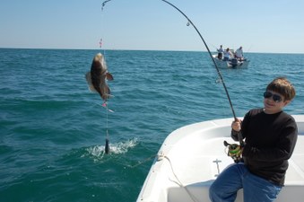 Enlarge photo 31