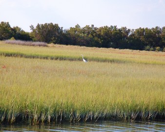 Enlarge photo 39