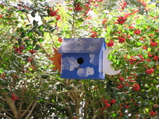 Enlarge photo 9