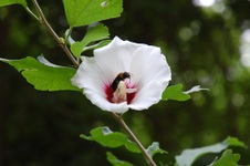 Enlarge photo 112