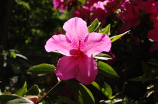 Enlarge photo 115