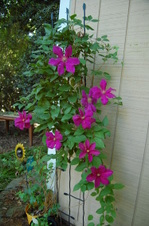 Enlarge photo 118