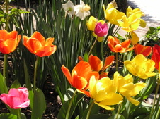 Enlarge photo 52