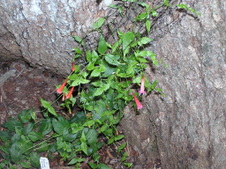 Enlarge photo 27