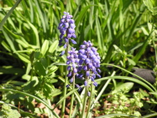 Enlarge photo 55