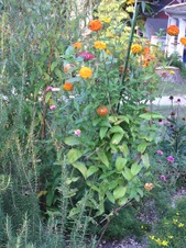 Enlarge photo 21