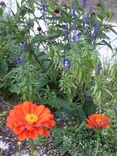 Enlarge photo 20