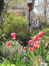 Enlarge photo 60