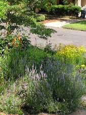 Enlarge photo 84
