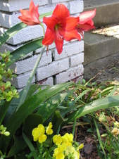 Enlarge photo 87