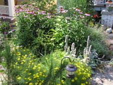 Enlarge photo 88