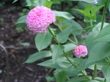 Enlarge photo 25
