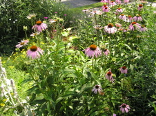 Enlarge photo 86