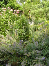 Enlarge photo 91
