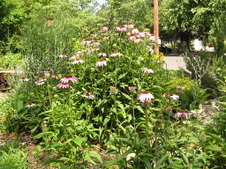 Enlarge photo 89