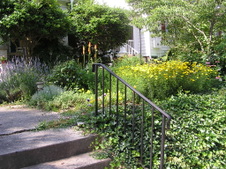 Enlarge photo 92