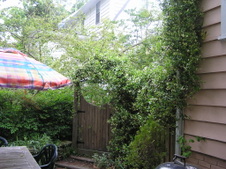 Enlarge photo 83
