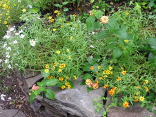 Enlarge photo 26