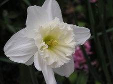 Enlarge photo 39