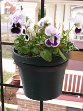 Enlarge photo 43