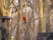 Enlarge photo 47