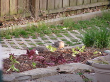 Enlarge photo 46
