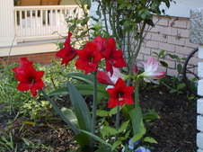 Enlarge photo 8