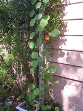 Enlarge photo 102