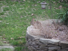 Enlarge photo 70