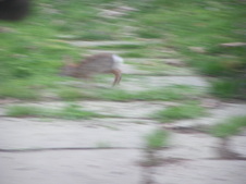 Enlarge photo 71