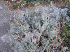 Enlarge photo 32