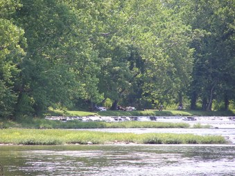 Enlarge photo 19