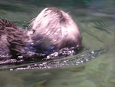 Enlarge photo 37