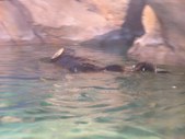 Enlarge photo 38