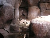 Enlarge photo 42