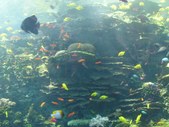 Enlarge photo 54