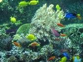 Enlarge photo 53