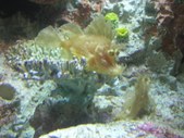 Enlarge photo 56