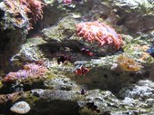 Enlarge photo 57