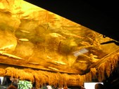 Enlarge photo 62