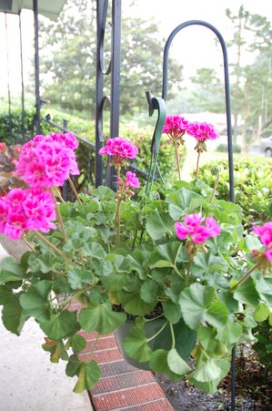 Enlarge photo 20