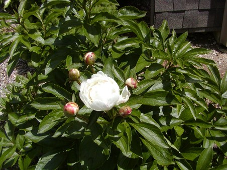 Enlarge photo 34